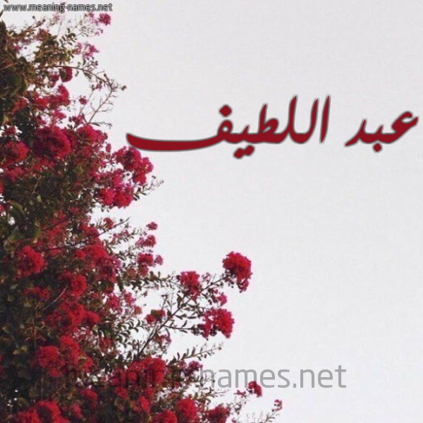 شكل 18 صوره الورد الأحمر للإسم بخط رقعة صورة اسم عبد اللطيف Abdelatif